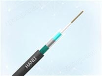 中心管式阻燃光纜（GYXTZW）