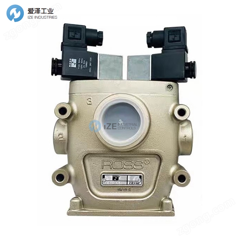 ROSS閥CF6DA66A2