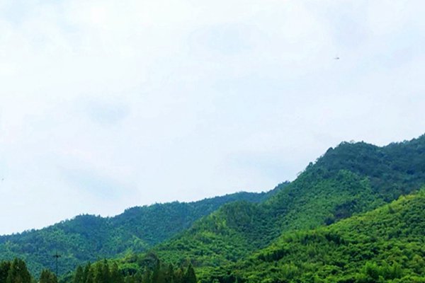 18家！四川省2025年第二批省級(jí)綠色礦山入庫(kù)名單公示