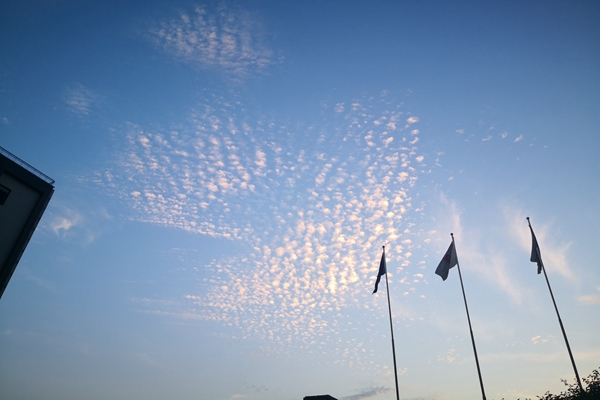 2025年11月1日开始施行 全国重要新规一览